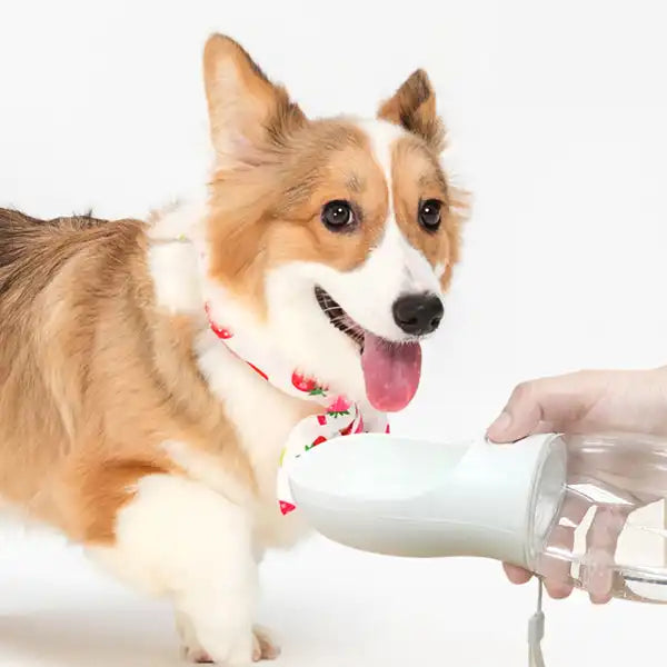 Sticlă Portabilă Apă Câini Pisici 550ml cu Bol Integrat Anti-Scurgere | Animalique