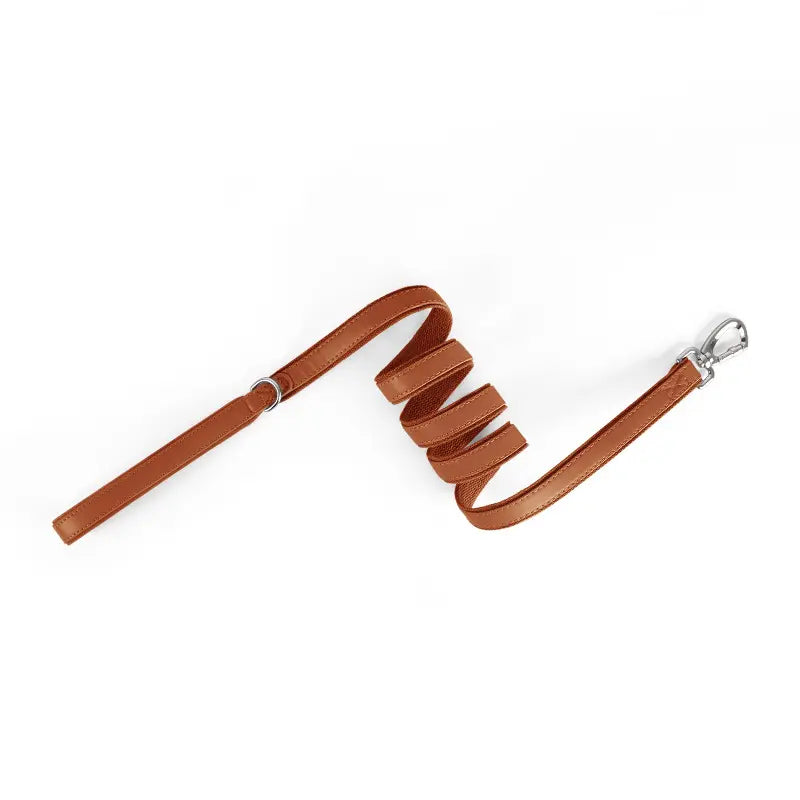 Lesă din piele maro pentru căței