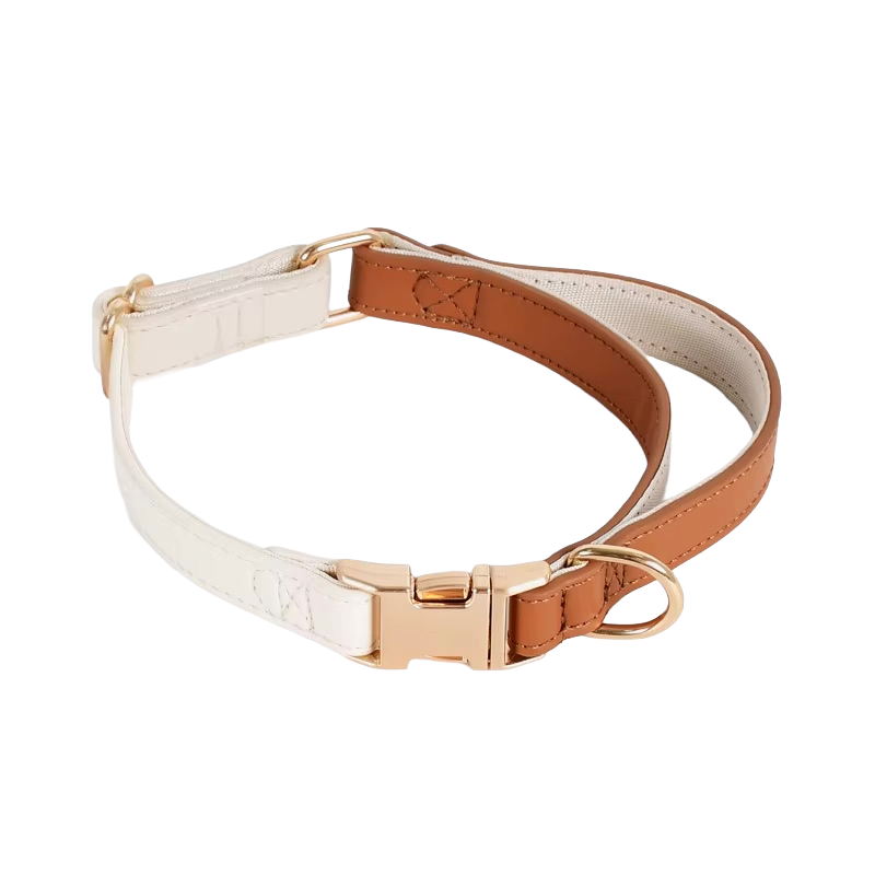 Zgardă Câini din Piele Ecologică Crem cu Accesorii Aurii | Animalique