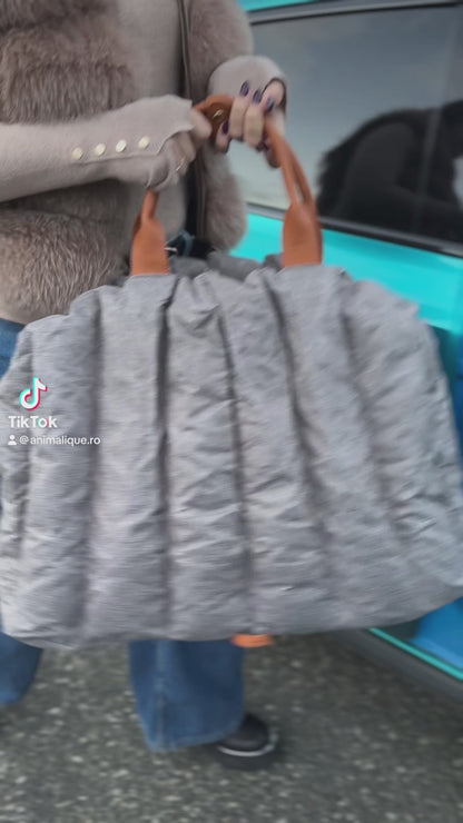 Geantă Transport Auto Câini Pisici cu Centură Siguranță Fixare Scaun | Animalique