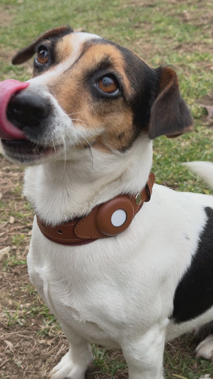 Zgardă Câini Piele Maro cu Suport AirTag Integrat | Animalique
